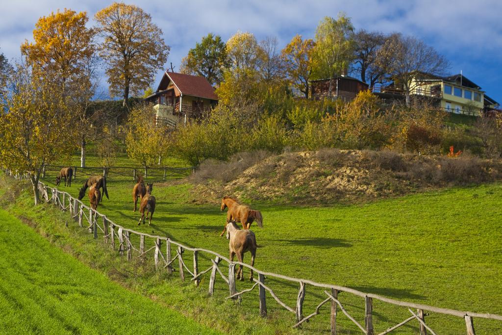 Country House Na Malenom Brijegu Bjelovar Cameră foto